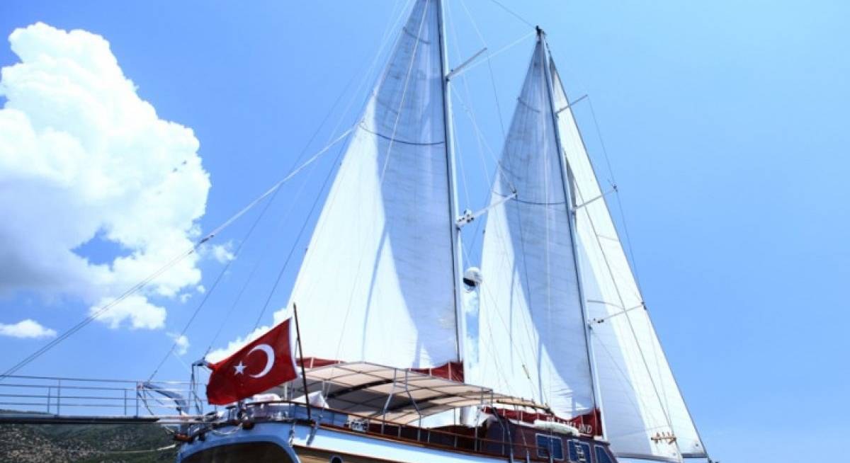 DREAMLAND yacht charter 5