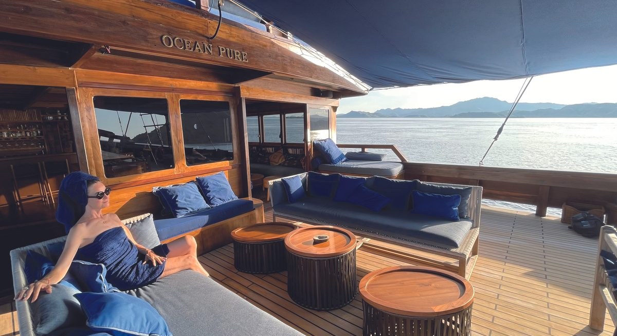 OCEAN PURE 1 yacht charter 4