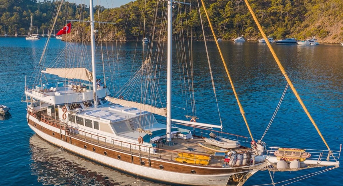 WHITE SWAN YACHT CHARTER yacht charter